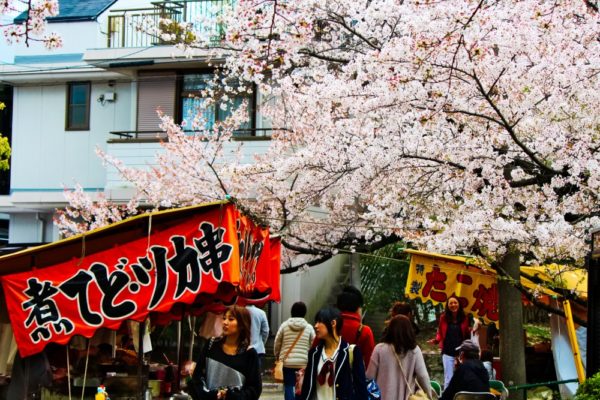 鶴舞公園と桜まつり