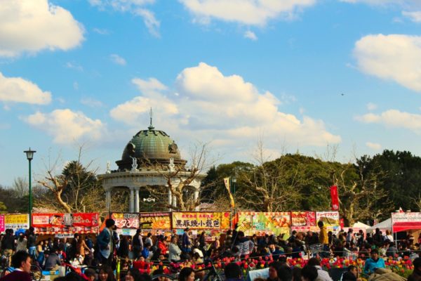 鶴舞公園と桜まつり