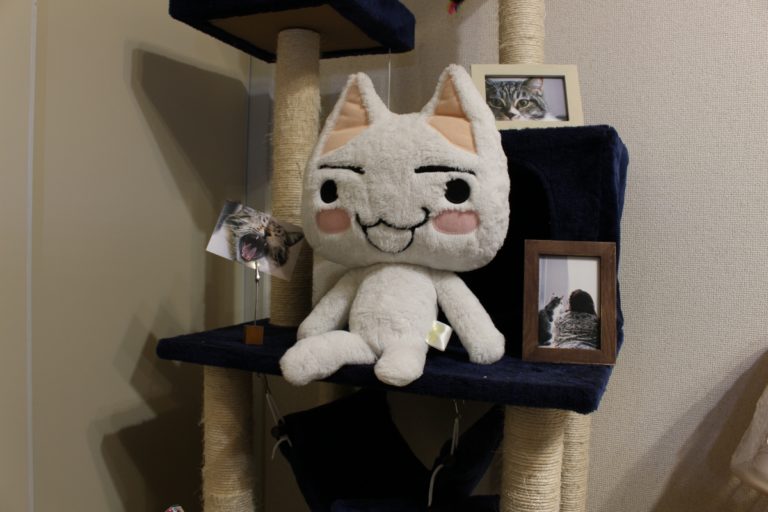 APS-C_広角18mm(APS-C28.8mm)