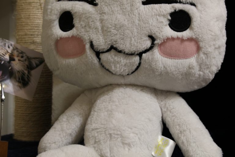 APS-C_標準55mm(APS-C88mm)