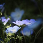 プロ顔負け！スポットライトが当たっている様な写真を撮るたった１つのポイントと編集方法！