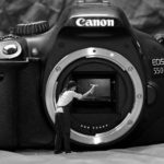 【一眼カメラ】APS-Cとフルサイズのイメージセンサーの違いによる3つの差を説明!