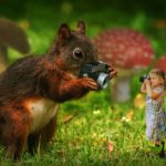 ずるじゃない！写真を編集することは見えた世界を写す表現だ！