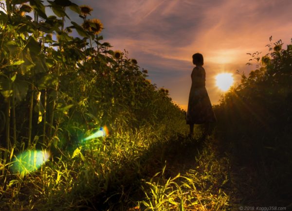 いちのえだ田園でひまわりとポートレート