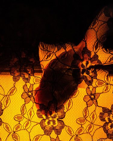 アートアクアリウムでの金魚のシルエット