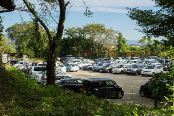 津屋川の彼岸花シーズンの駐車場の雰囲気