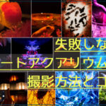 難関!失敗しないアートアクアリウムの撮影方法とコツ。カギは基礎の設定とアイデアにある!