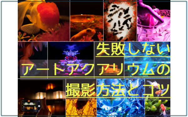 難関！失敗しないアートアクアリウムの撮影方法とコツ。カギは基礎の設定とアイデアにある！