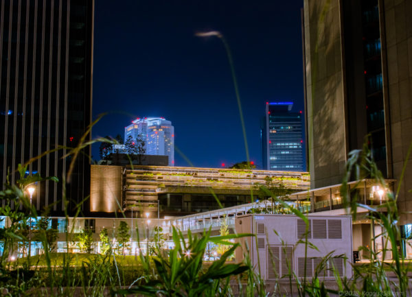 名古屋のささしまライブ駅周辺の夜景撮影がスポットまみれで楽しい!