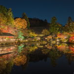 東山動植物園の紅葉ライトアップを撮影！三脚使用の条件の詳細あり！