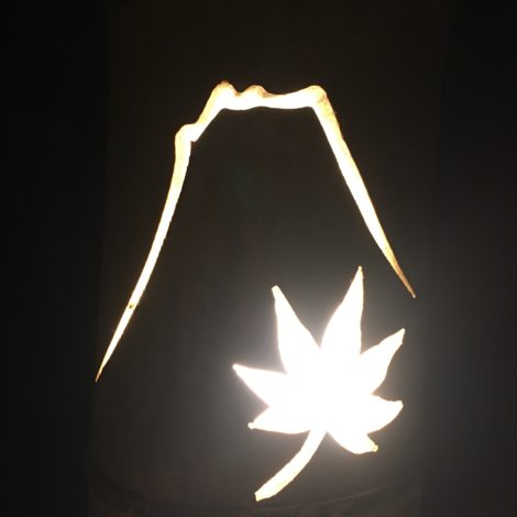 白鳥庭園のライトアート