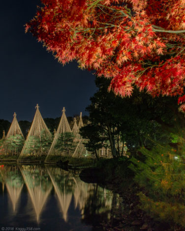 白鳥庭園の雪吊りと紅葉（水面のノイズ除去済み）