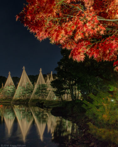 白鳥庭園の雪吊りと紅葉（水面のノイズ除去前）