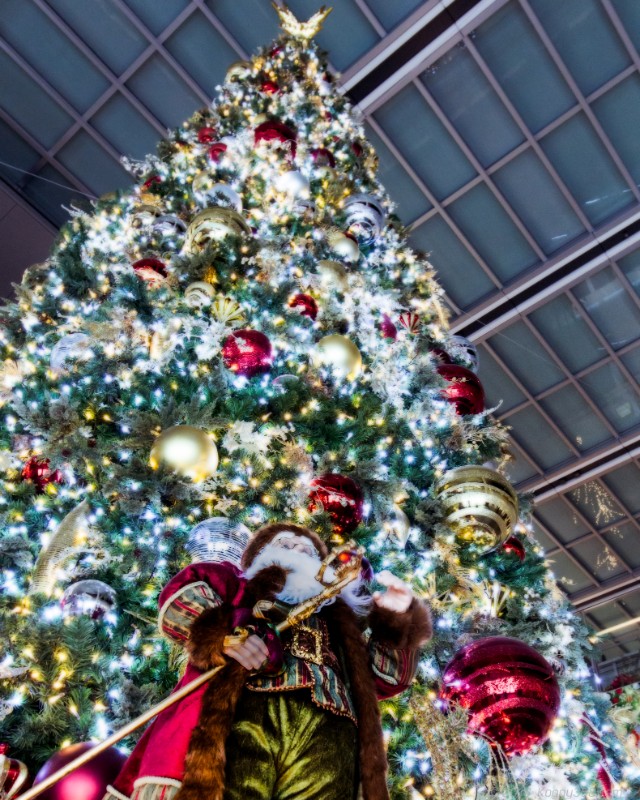 JRゲートタワーのサンタとクリスマスツリー