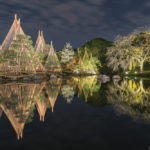 愛知県唯一！白鳥庭園の紅葉ライトアップと雪吊りのリフレクションを撮影