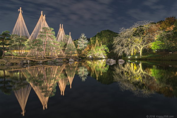 愛知県唯一！白鳥庭園の紅葉ライトアップと雪吊りのリフレクションを撮影