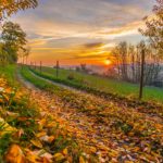 自分のフォトのルーツを探る。なぜ僕は写真を撮りたいのか。