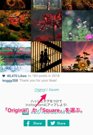 2018bestnineの使い方