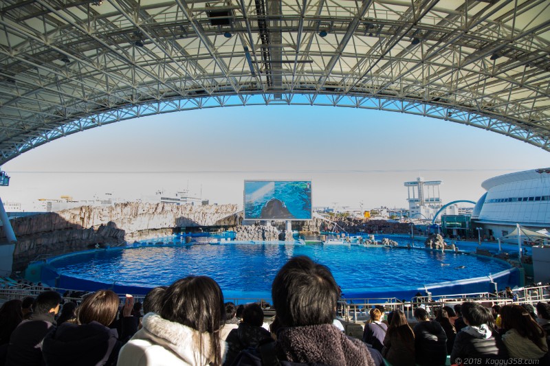 名古屋港水族館のショースタジアム