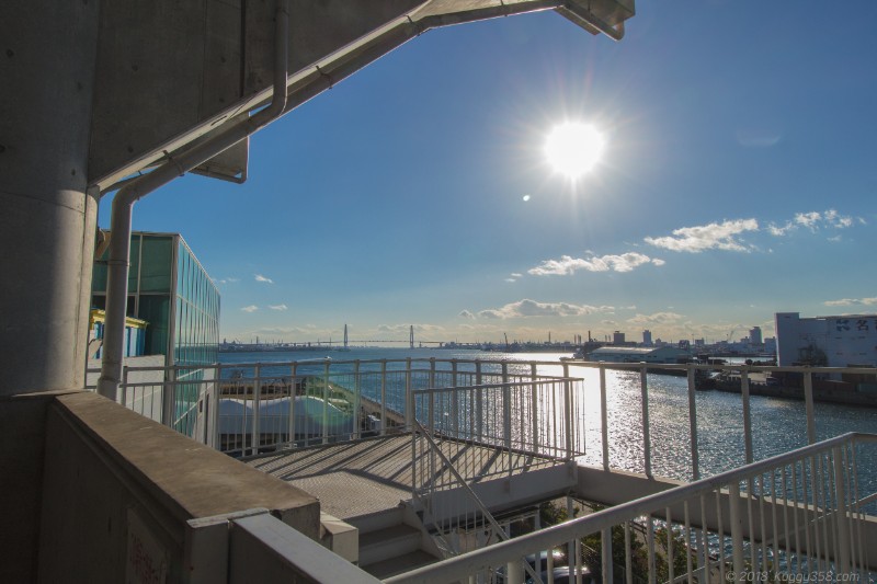 名古屋港水族館のショースタジアム