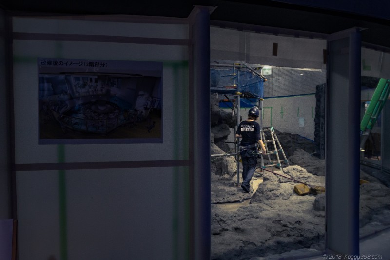 改修中の名古屋港水族館の「ウミガメ回遊水槽」