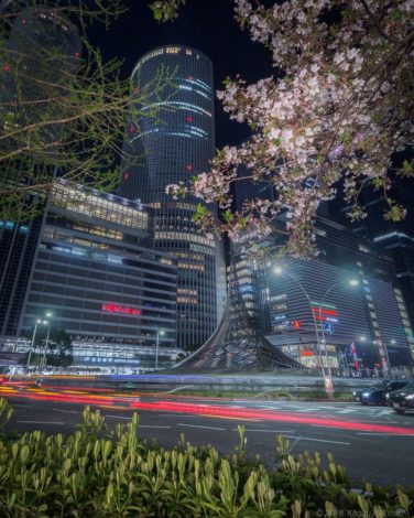 名古屋駅と桜とレーザービーム