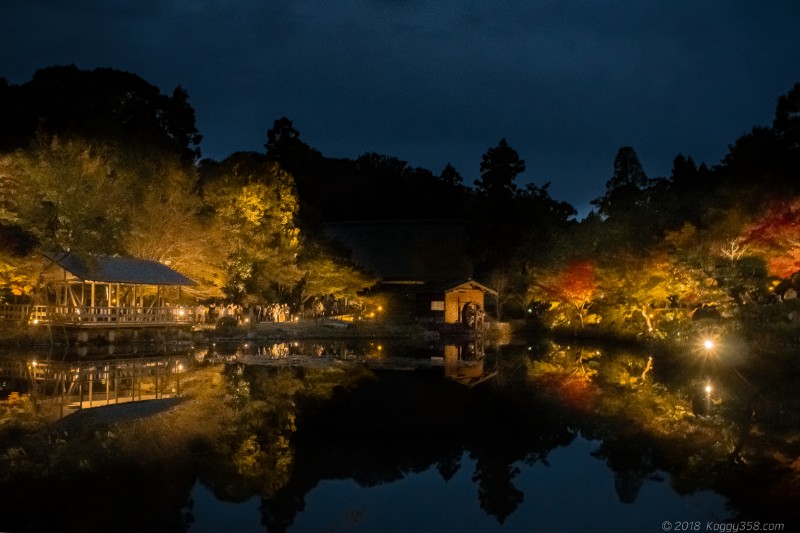 東山動植物園の紅葉ライトアップ