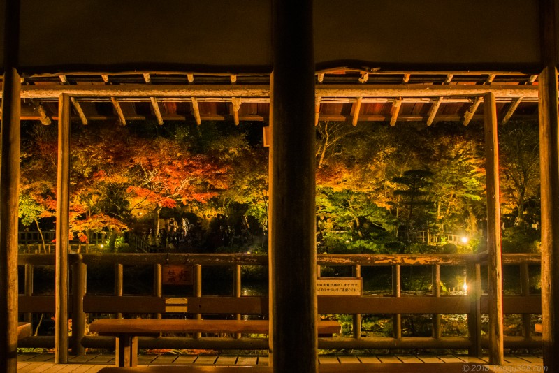 東山動植物園の紅葉ライトアップ