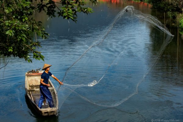 津屋川の彼岸花と打ち網