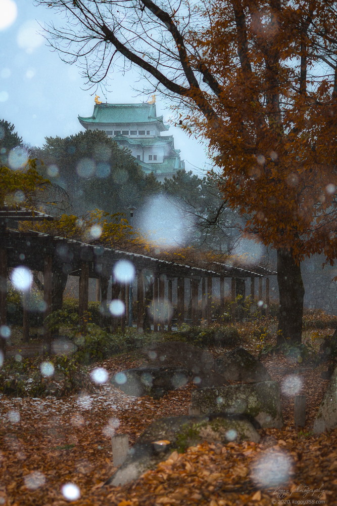 名古屋城と雪景色を撮影