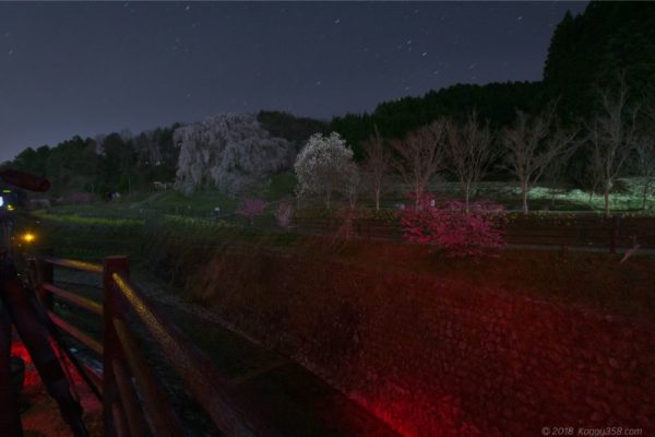 又兵衛桜の赤いライトよる光害
