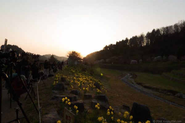 又兵衛桜のカメラマンと朝日