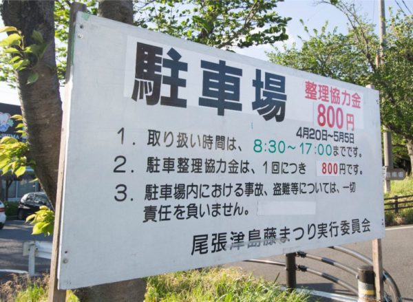 津島市の天王川公園で藤のリフレクションとグルグル花筏を撮影したよ こぎフォト ダイアログ