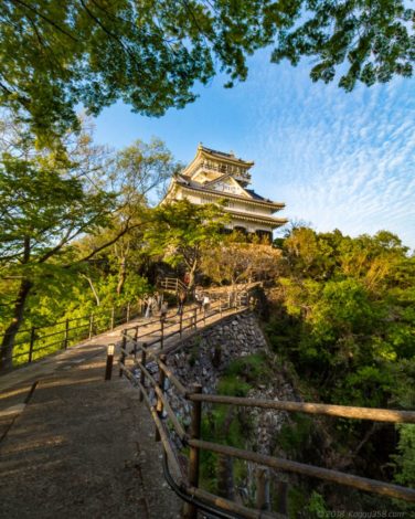 夕日に染まる岐阜城