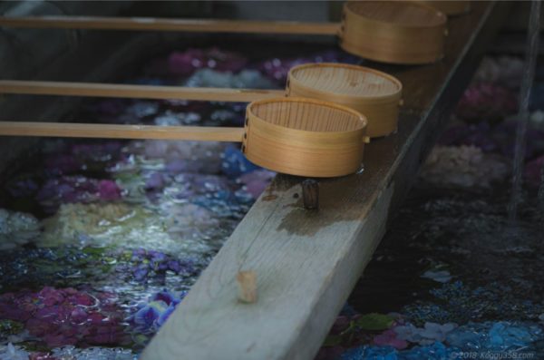 御裳 みも 神社の手水舎のあじさい情報とインスタ映えアングルまとめ こぎフォト ダイアログ