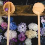 御裳(みも)神社の手水舎のあじさい情報とインスタ映えアングルまとめ