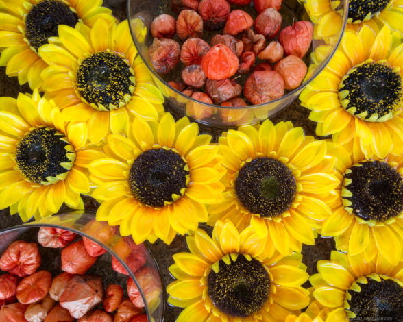 別小江神社のひまわりと鬼灯の花手水