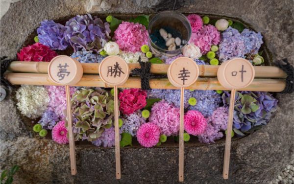 アクセス抜群 名古屋の別小江神社のあじさいやひまわりの花手水に風鈴を撮影 こぎフォト ダイアログ