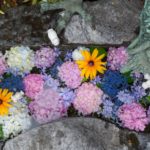 大須の三輪神社の手水舎はあじさいとウサギが可愛いインスタ映え神社