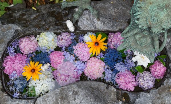 大須の三輪神社の手水舎はあじさいとウサギが可愛いインスタ映え神社