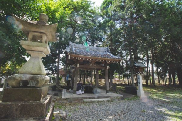 岐阜市の若江神社のあじさいの手水舎がゆっくり撮影出来ておススメ こぎフォト ダイアログ