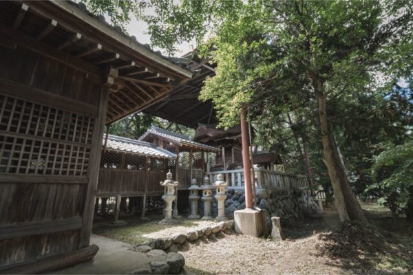 岐阜市の若江神社のあじさいの手水舎がゆっくり撮影出来ておススメ こぎフォト ダイアログ