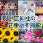 アクセス抜群!名古屋の別小江神社のあじさいやひまわりの花手水に風鈴を撮影