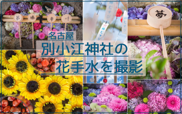 アクセス抜群！名古屋の別小江神社のあじさいやひまわりの花手水に風鈴を撮影