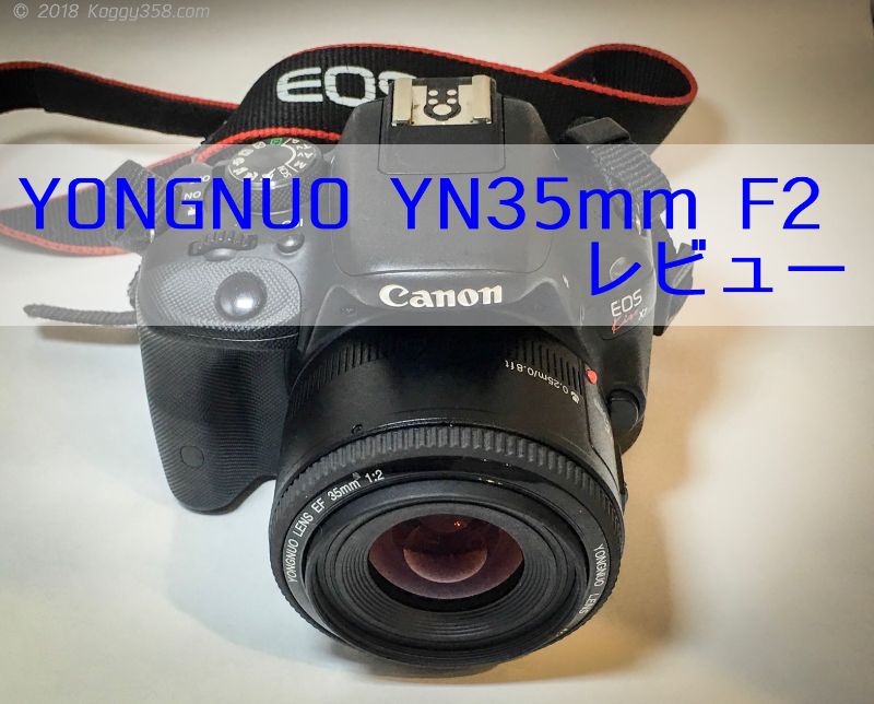 コスパ最強YONGNUO YN35mm F2レビュー！初めての単焦点におすすめ