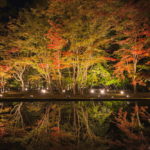 曽木公園で紅葉のリフレクションを撮影【ライトアップ情報あり】