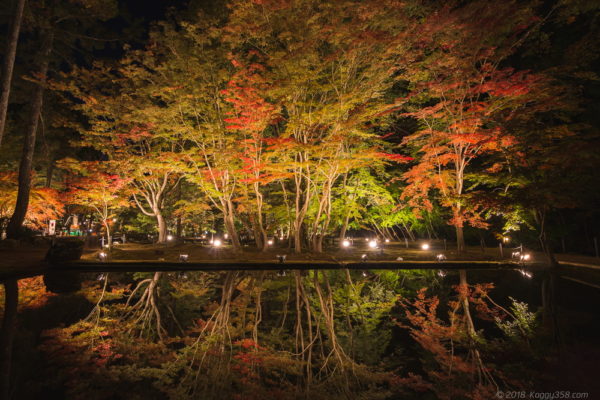 曽木公園で紅葉のリフレクションを撮影 ライトアップ情報あり こぎフォト ダイアログ