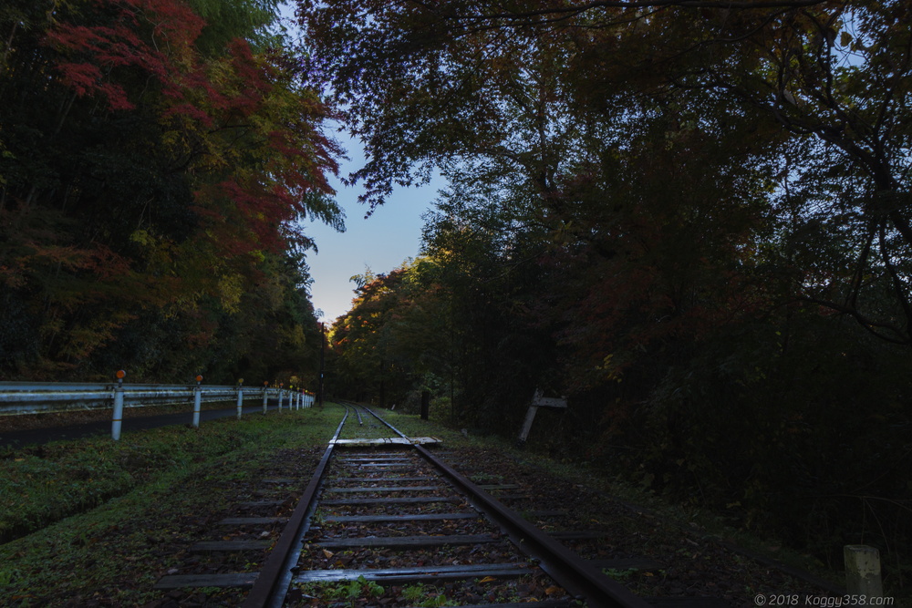 線路を歩ける廃線!三河広瀬駅で紅葉と四季桜を撮影【見頃は11月末】