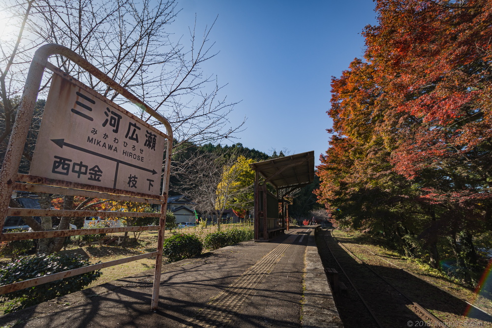 線路を歩ける廃線!三河広瀬駅で紅葉と四季桜を撮影【見頃は11月末】