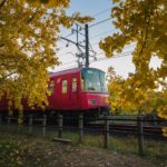 祖父江町でイチョウと名鉄電車を撮影【見ごろは11月末～12月頭】